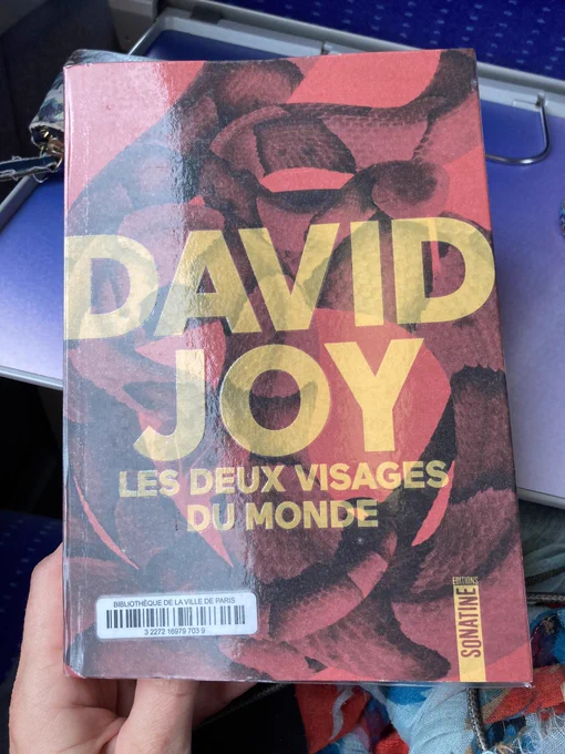 Livre les deux visages du monde de David Joy chez Sonatine