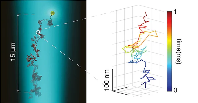 TOC image from the article
