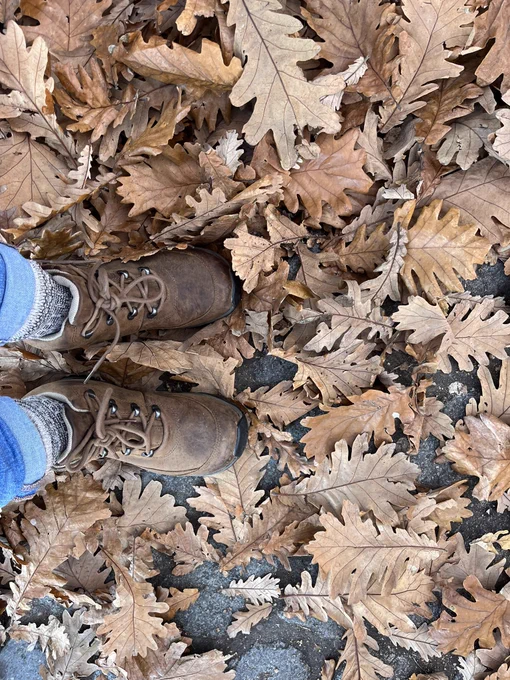 Leaves under my boots