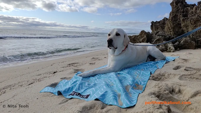 A Quick Guide to Perth beaches along the West Coast Drive - where to swim, snorkel, walk, picnic, and take your dog to a dog beach.
