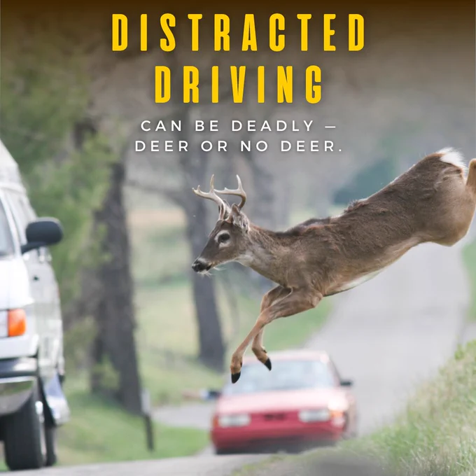An image featuring a deer jumping across a road, with an oncoming vehicle in the background. Text overlay warns that "Distracted driving can be deadly — deer or no deer.