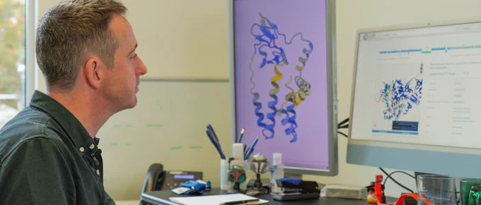 Man sitting at a desk looking at a monitor which is displaying a protein folding ribbon diagram. 