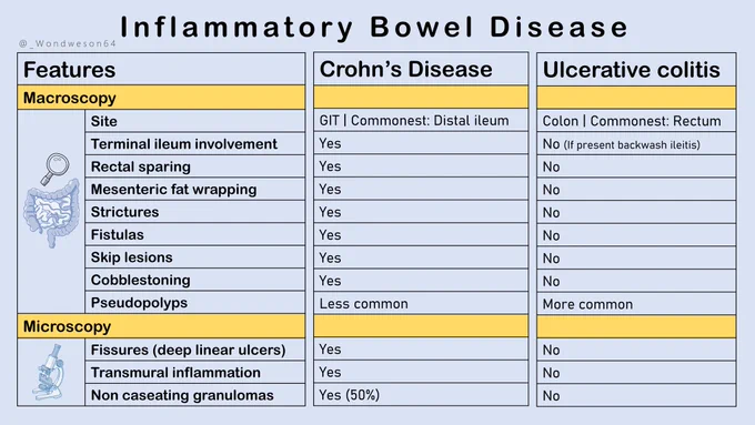 IBD, Crohn's disease, ulcerative colitis, table