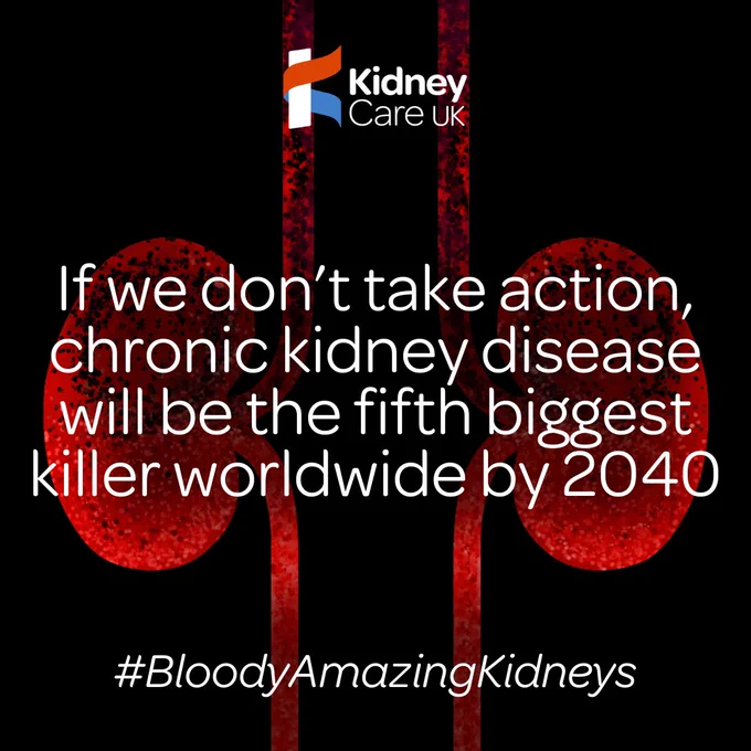 Kidney Care UK promotional image featuring a bold background with blood cells and a warning that chronic kidney disease will be the fifth biggest killer worldwide by 2040. Text includes the hashtag #BloodyAmazingKidneys.