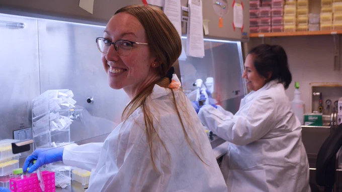 Brain Organoid Hub Workshop participants performing iPSC aggregation in biosafety hoods.
