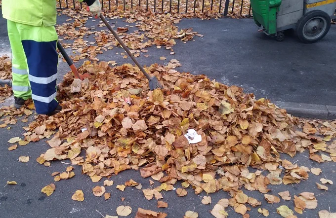 A council worker sweeping a large pile of leaves.