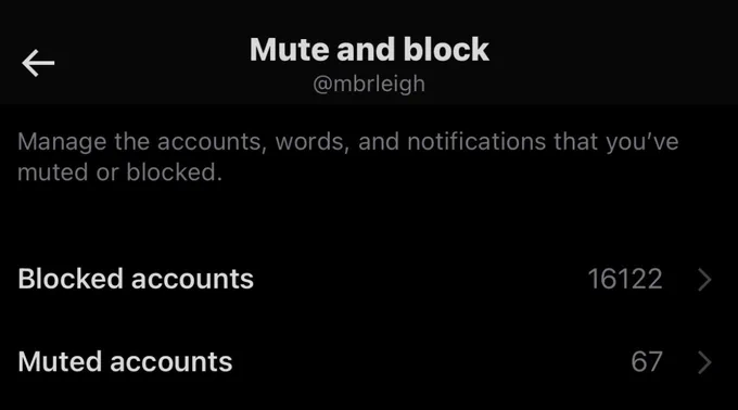 Mute and Block list on twitter showing 16,122 blocked accounts and 67 muted accounts