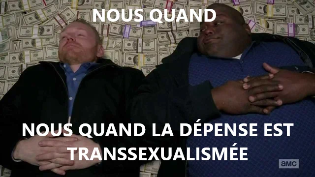 Deux personnages de Breaking Bad sont allongés sur des billets. Le texte : "Nous quand. Nous quand la dépense est transsexualismée".