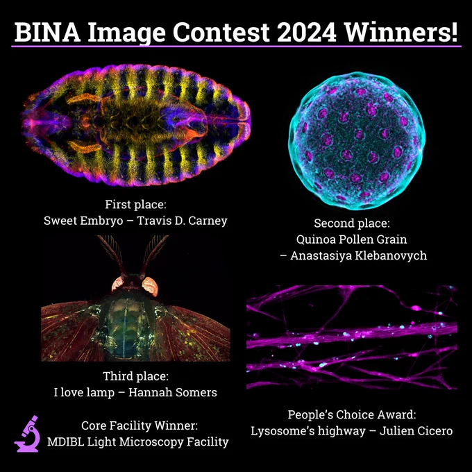 BINA Image Contest 1st, 2nd, and 3rd place images, the winning facility, and the people's choice image.