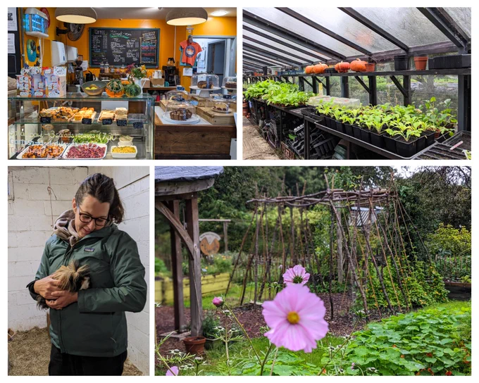 Imagery depicts Windmill Hill City Farm's colourful cafe with plant-based food on offer, greenhouses and outdoor space and animals...