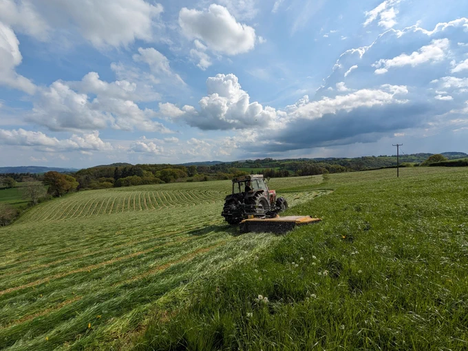 A field which has been treated with biochar.