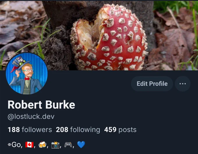 Profile page for Robert on Blue Sky where he can be found by his handle lostluck.dev