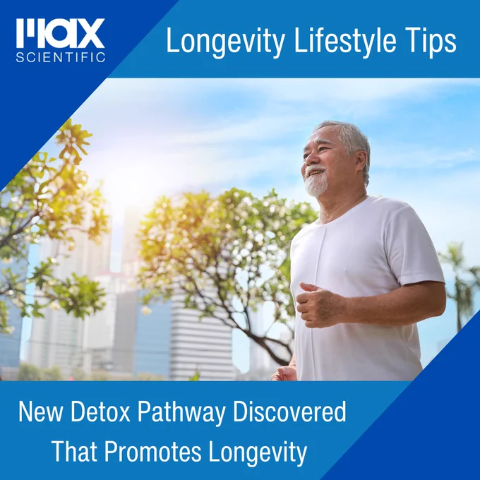 The image features a serene outdoor scene with a smiling older man dressed in a white t-shirt, standing amidst greenery and bright sunlight. The background includes modern buildings, likely a cityscape, and a clear, bright blue sky. The top left corner displays the MacScientific logo. The text overlay reads, "Longevity Lifestyle Tips" at the top, and at the bottom, "New Detox Pathway Discovered That Promotes Longevity" in white, bold letters on a blue background. The overall tone of the image suggests an active and healthy lifestyle in connection with longevity.