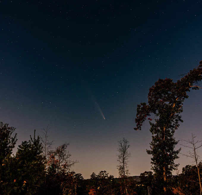A picture of a comet as the sun sets; some tree tops are visible at the bottom.