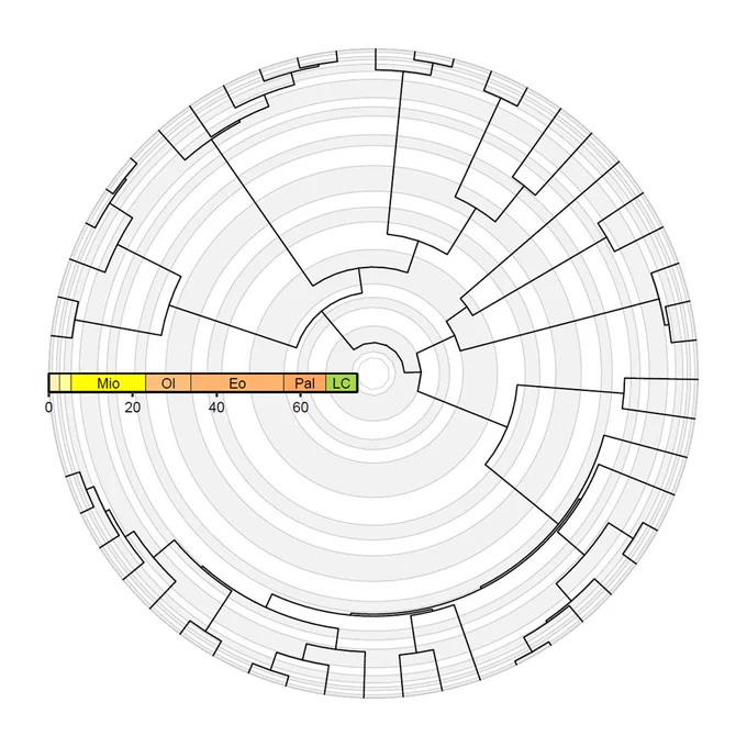 Figure 2: A mammal phylogeny (Garland et al., 1992) plotted using the ggtree and deeptime packages. The greyscale background indicates geological stages, whereas the colored timescale indicates geological epochs.