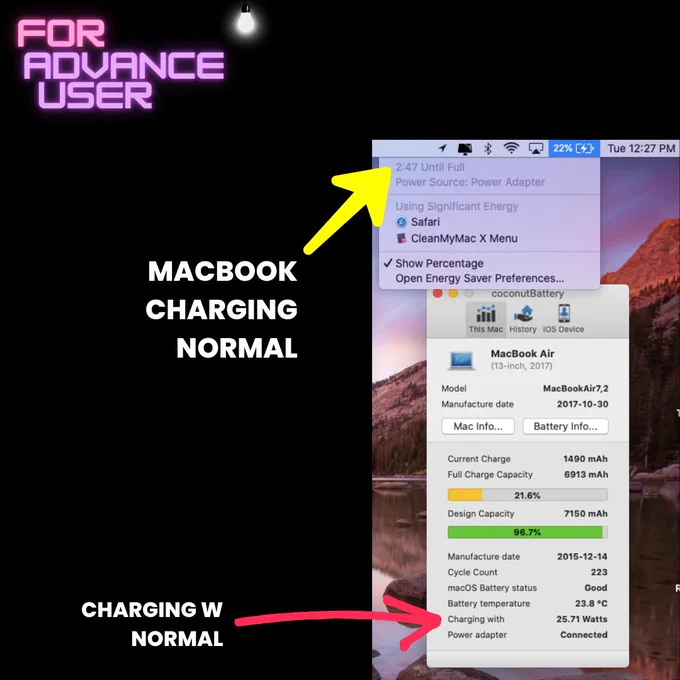 MacBook Air showing Coconut Battery App of its normal battery status