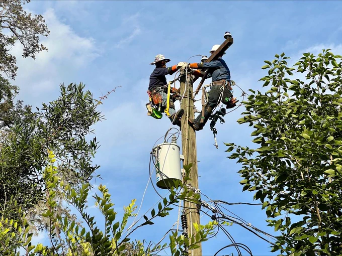 Two utility workers are repairing equipment atop an electrical pole surrounded by greenery under a clear blue sky.