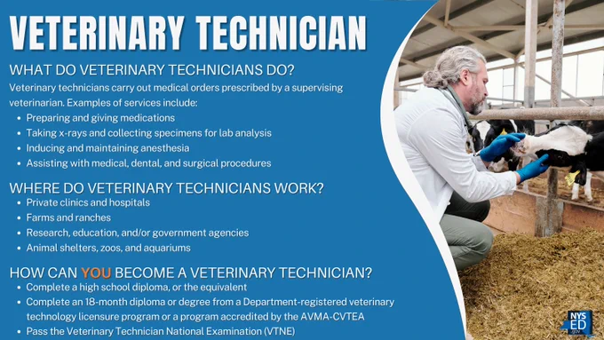 Veterinary Technician
What Do Veterinary Technicians Do?
Veterinary technicians carry out medical orders prescribed by a supervising veterinarian. Examples of services include:
Preparing and giving medications
Taking x-rays and collecting specimens for lab analysis
Inducing and maintaining anesthesia
Assisting with medical, dental, and surgical procedures
Where Do Veterinary Technicians Work?
Private clinics and hospitals
Farms and ranches
Research, education, and/or government agencies
Animal shelters, zoos, and aquariums
How Can You Become a Veterinary Technician?
Complete a high school diploma, or the equivalent
Complete an 18-month diploma or degree from a Department-registered veterinary technology licensure program or a program accredited by the AVMA-CVTEA
Pass the Veterinary Technician National Examination (VTNE)