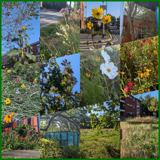 twelve images of green areas around Old Trafford in a greeen border