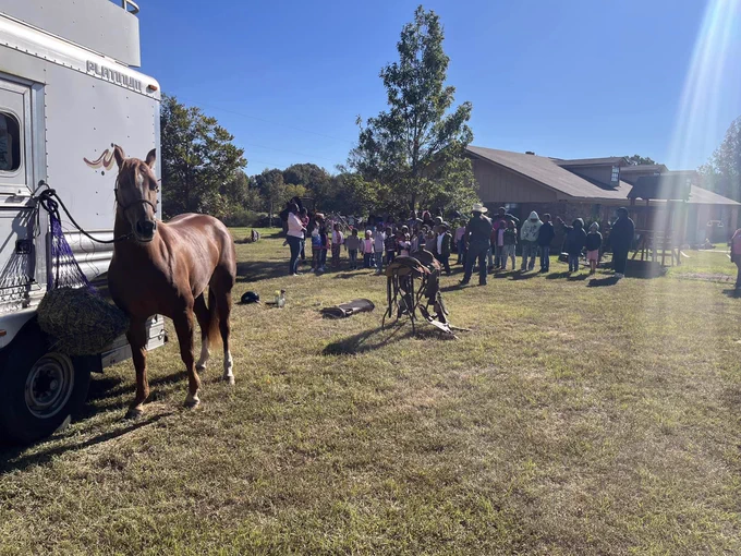 horse