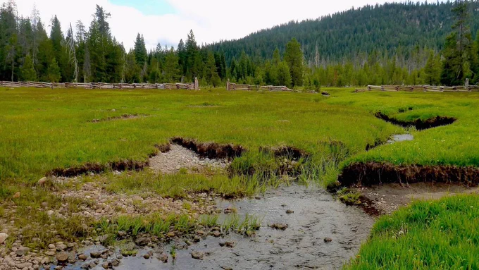 Childs Meadow. Photo Credit: Sarah Yarnell.