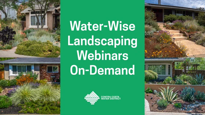 Water-Wise Landscaping Webinars On-Demand