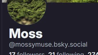 snippet of a screenshot of my blue sky profile @mossymuse.bsky.social
Same pfp and banner as here.