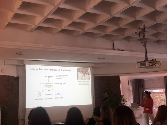 Nadia Mercader showing the work of good old friends