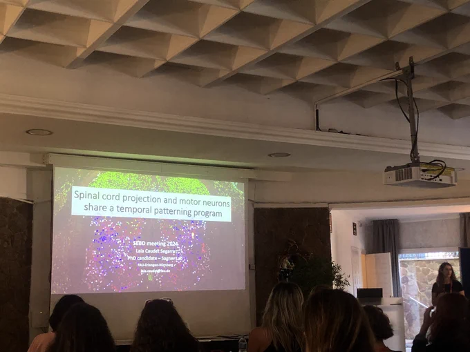 Laia Caudet - @ Andreas Sagner lab