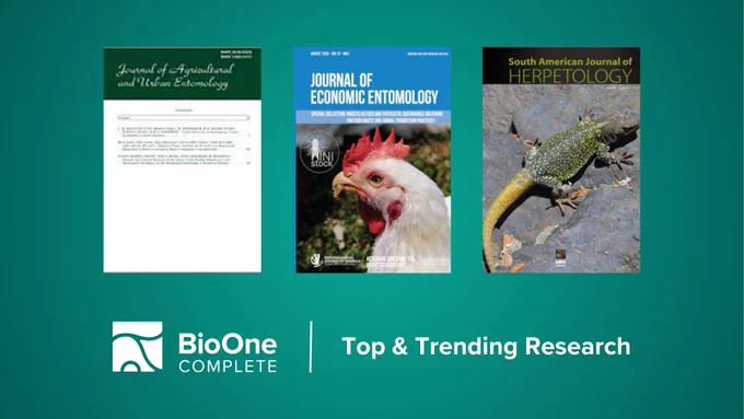 BioOne Complete Top & Trending Research. Journal covers for the Journal of Agricultural and Urban Entomology, Journal of Economic Entomology, and South American Journal of Herpetology.