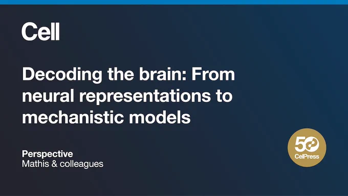 Decoding the brain: From neural representations to mechanistic models
Perspective
Mathis & colleagues