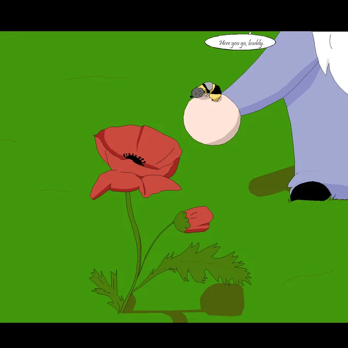 Gunter says, "Here you go, buddy" while he reaches to place the bee inside of a poppy flower.