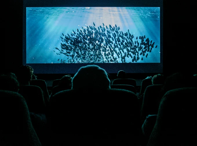 A photograph of the dark outline of an audience sitting in a cinema, with an image on the screen of a shoal of fish in clear blue waters