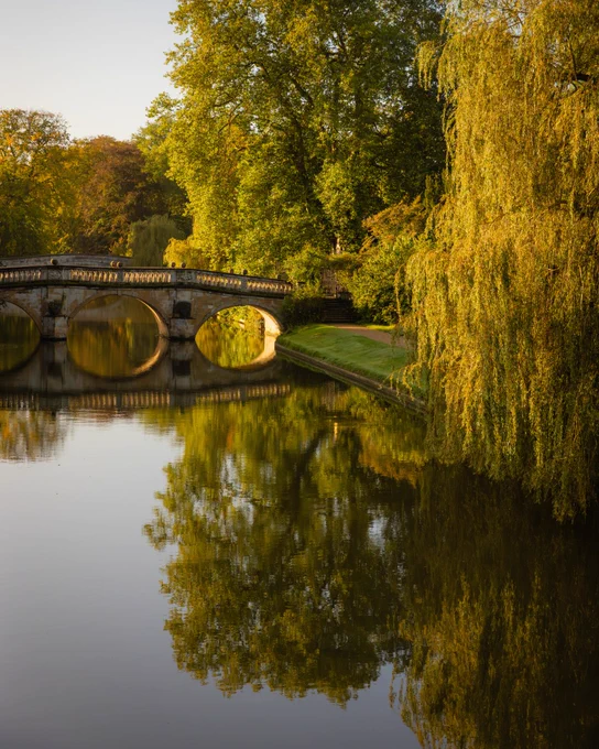 Image of the Clare College Bridge reflected in the River Cam, flanked by a weeping willow in the golden light of early evening.