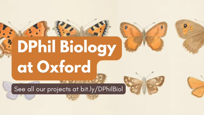 Text reads: DPhil Biology at Oxford; See all our projects at bit.ly/DPhilBiol. Background image is an illustration of different types of butterflies.