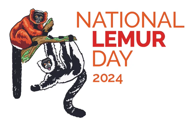 Logo for National Lemur Day 2024 featuring an illustrated red lemur and a black-and-white lemur on a branch.