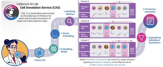 Cell Annotation Service explainer