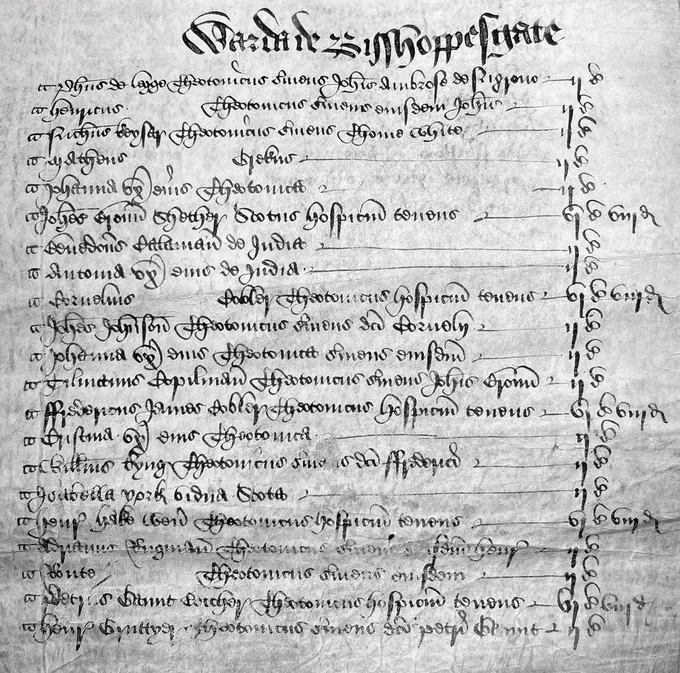 A list of names written in beautiful Old English on an old piece of parchment. Catalogue reference: E 179/242/25.