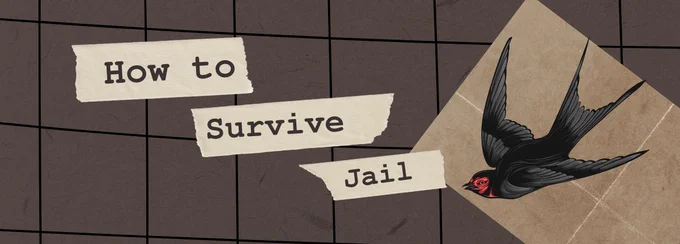 Photo of a grid, evocative of a cage with a brown piece of paper and a red and black bird on the right hand side. On the left hand side are the words, "How to Survive Jail."
