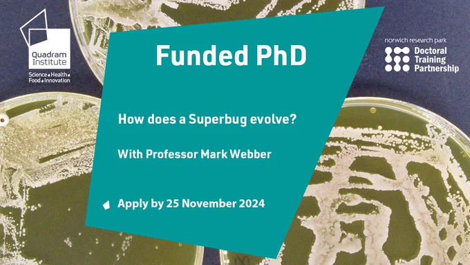 A photo of bacteria growing on plates with the text, "Funded PhD, how does a superbug evolve? With Professor Mark Webber. Apply by 25 November 2024.