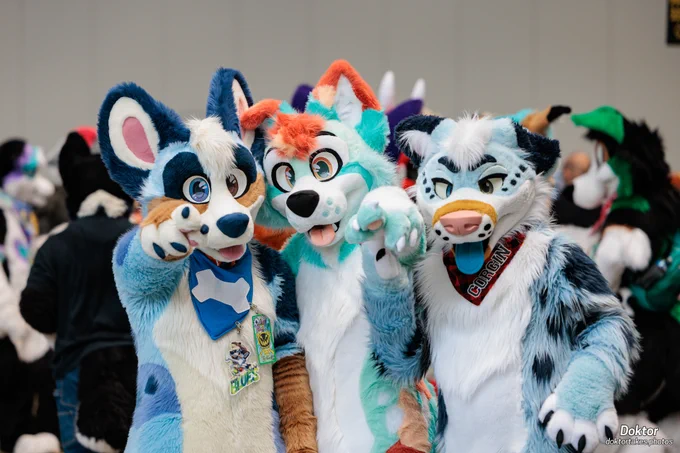 Three canine fursuiters standing together in a panel room. The left fursuiter is blue with dark blue spots and patches and hazel accents, the middle fursuiter is light blue with orange accents, and the right fursuiter is light blue with dark blue spots and a hazel strip around it's muzzle. 