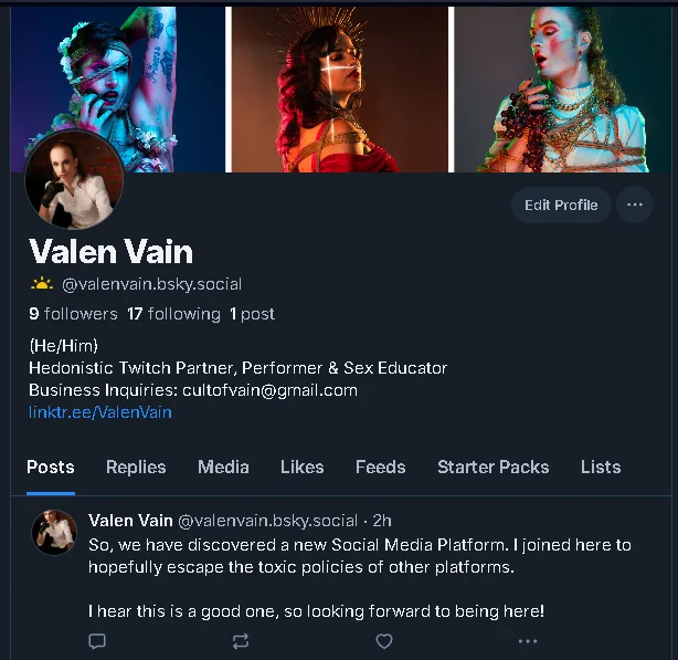 A screenshot of Valen's Blue skies profile. it has the same banner, profile picture and bio as his twitter account does, but most importantly, it displays his user tag which is @valenvain.bsky.social