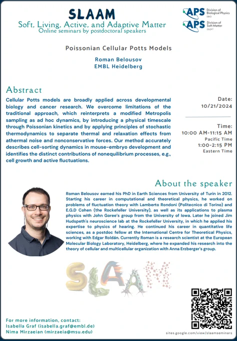 poster about SLAAM seminar to be given by Dr. Roman Belousov (EMBL Heidelberg) today, at 10 am PT / 1 pm ET US.
Title: Poissonian Cellular Potts Models
