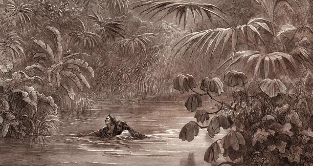 Atala et Chactas traversant une rivière, par Gustave Doré, 1832 - 1883 ©Getty - Sepia Times / Contributeur
