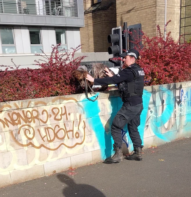 Image of uniformed officer with drug dog at Glasgw Clydeside