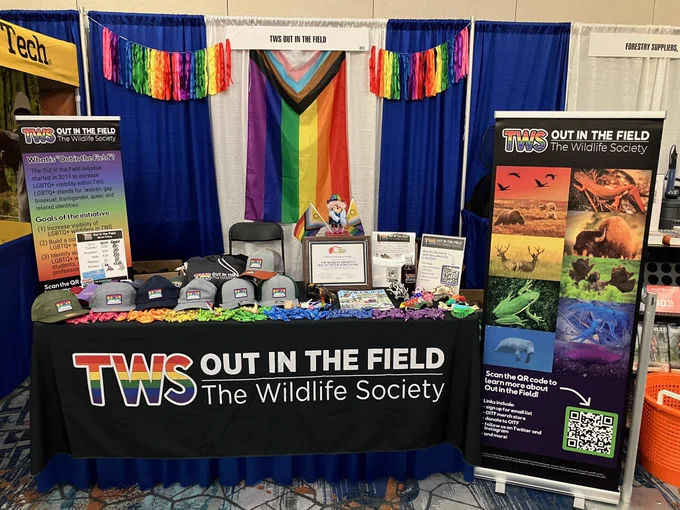 The OiTF booth at TWS2024! The booth table has a black tablecloth with a rainbow TWS OiTF logo. On the table there are hats, tshirts for sale, along with rainbow candy, placards advertising raffles and donor logos, etc. the backdrop is a rainbow flag.