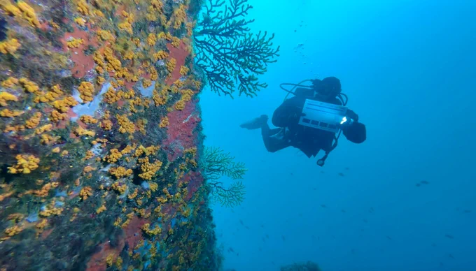 Diver carrying out underwater survey - Photo by ICM/CSIC