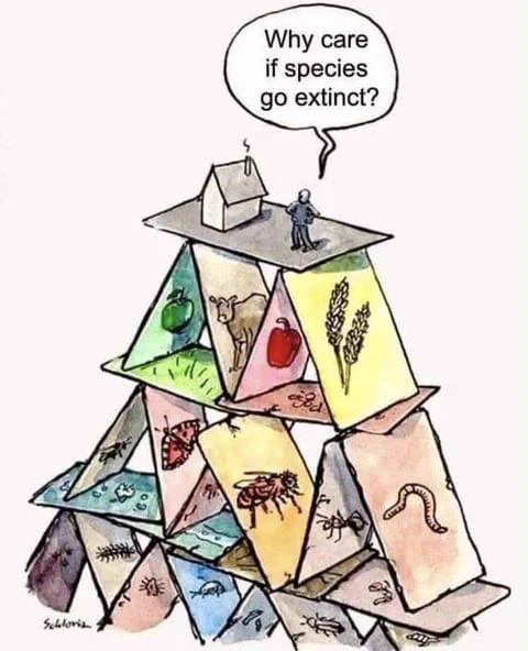 A man stands at the top of a house of cards. ‘What do I care if the cash disappears?’ he asks himself. The house of cards that supports his life and his house is itself made of other species. Biodiversity makes human life on earth possible. Cartoon by Stefan Haller Schlorian.