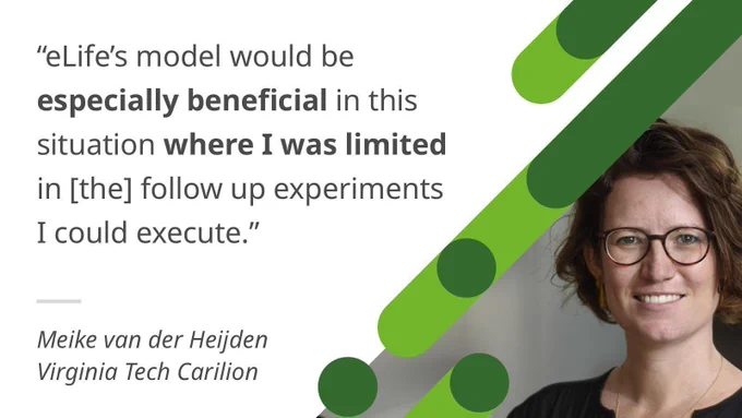 eLife's model would be especially beneficial in this situation where i was limited in the follow up experiments i could execute, meike van der heijden, virginia tech carilion