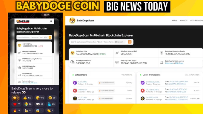 babydoge coin news today